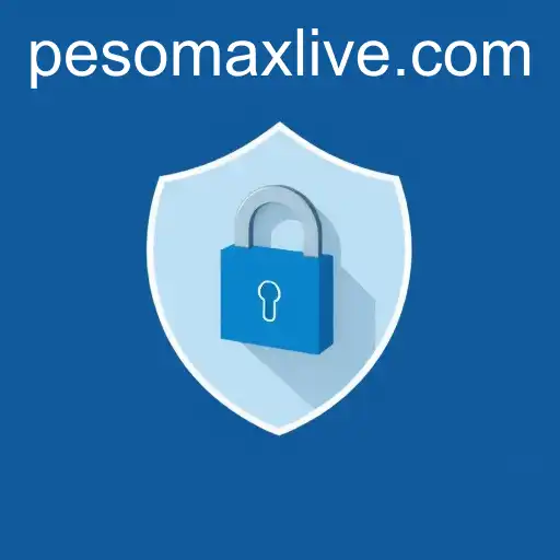 Understanding Privacy Policies: PESOMAX's Role and Challenges